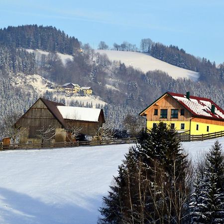 Almferienhaus Russmann Frantschach Exterior photo