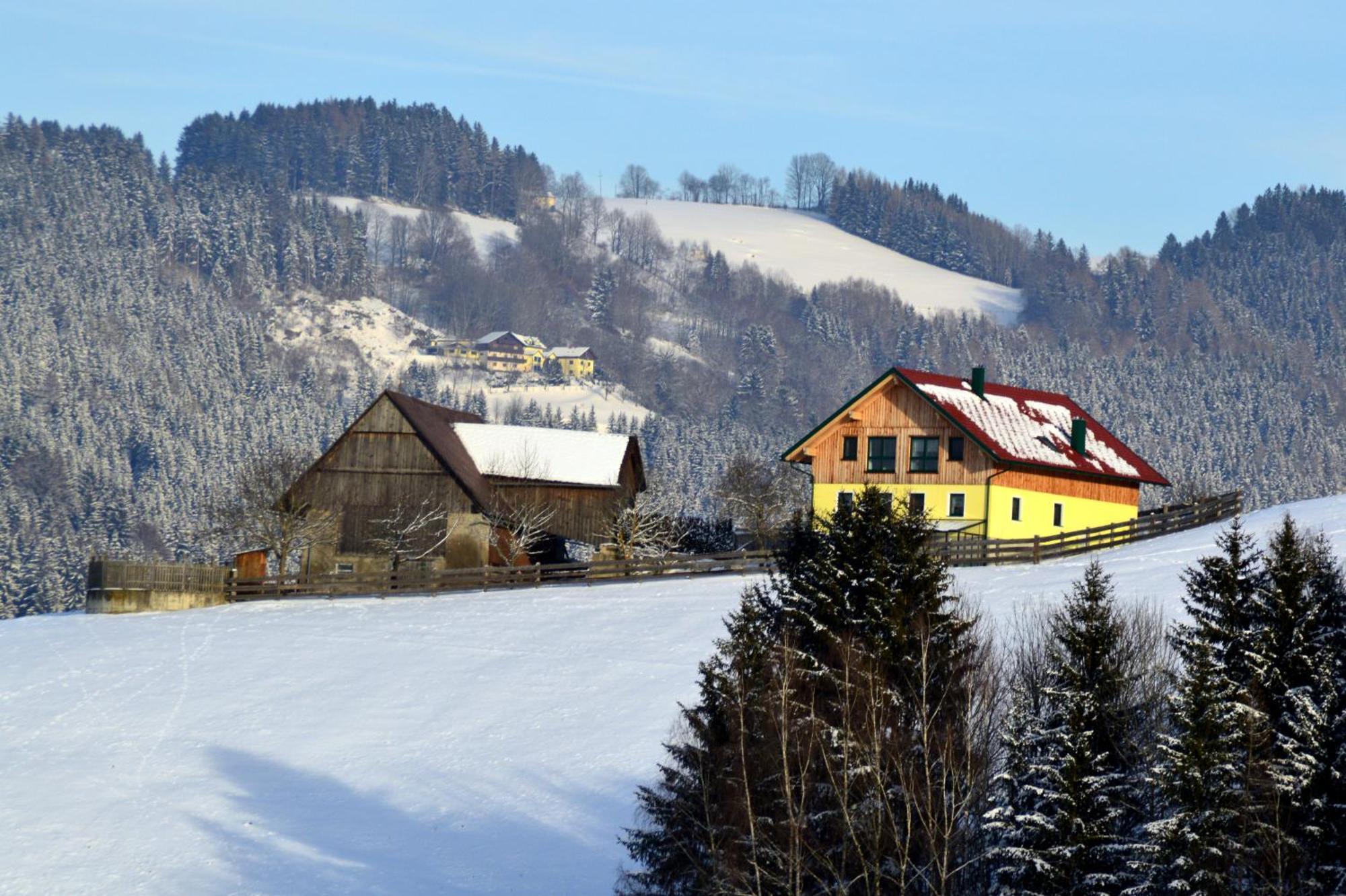 Almferienhaus Russmann Frantschach Exterior photo